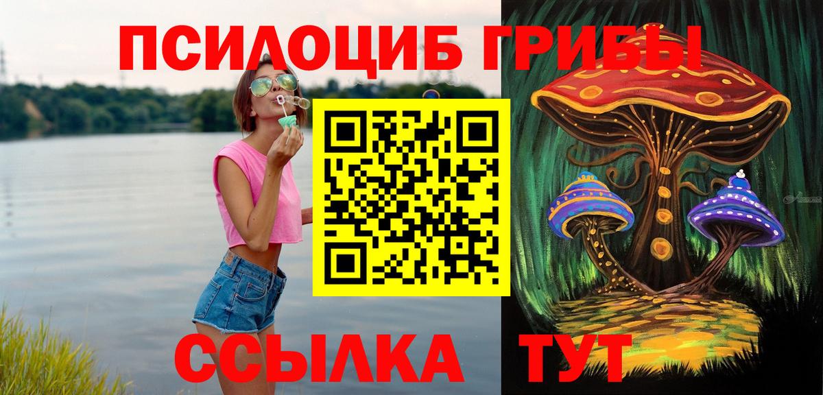даркнет сайт  Вход с VPN  Новочебоксарск  Псилоцибиновые грибы Cubensis 